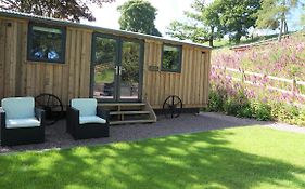 Little Acorn - Luxury Shepherd'S Hut / Lodge With Private Hot Tub And Garden